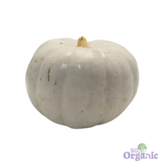 Organic Pumpkin - Grey (500g-cut) Australia