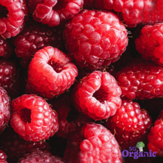 Organic Raspberries (125g) Australia