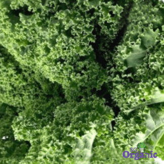 Organic Salad - Kale Leaves (100g) Australia