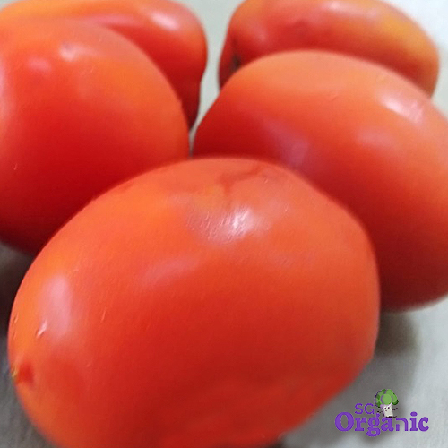 Organic Tomato - Roma (250g) Australia