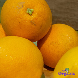Organic Orange - Juicing (1kg) Australia