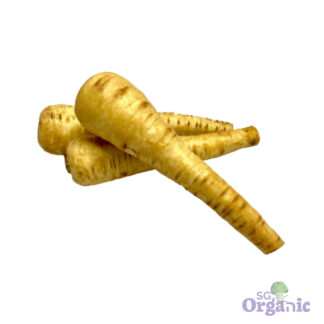 Organic Parsnip (500g) Australia
