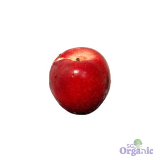 Organic Nectarine (each) Australia