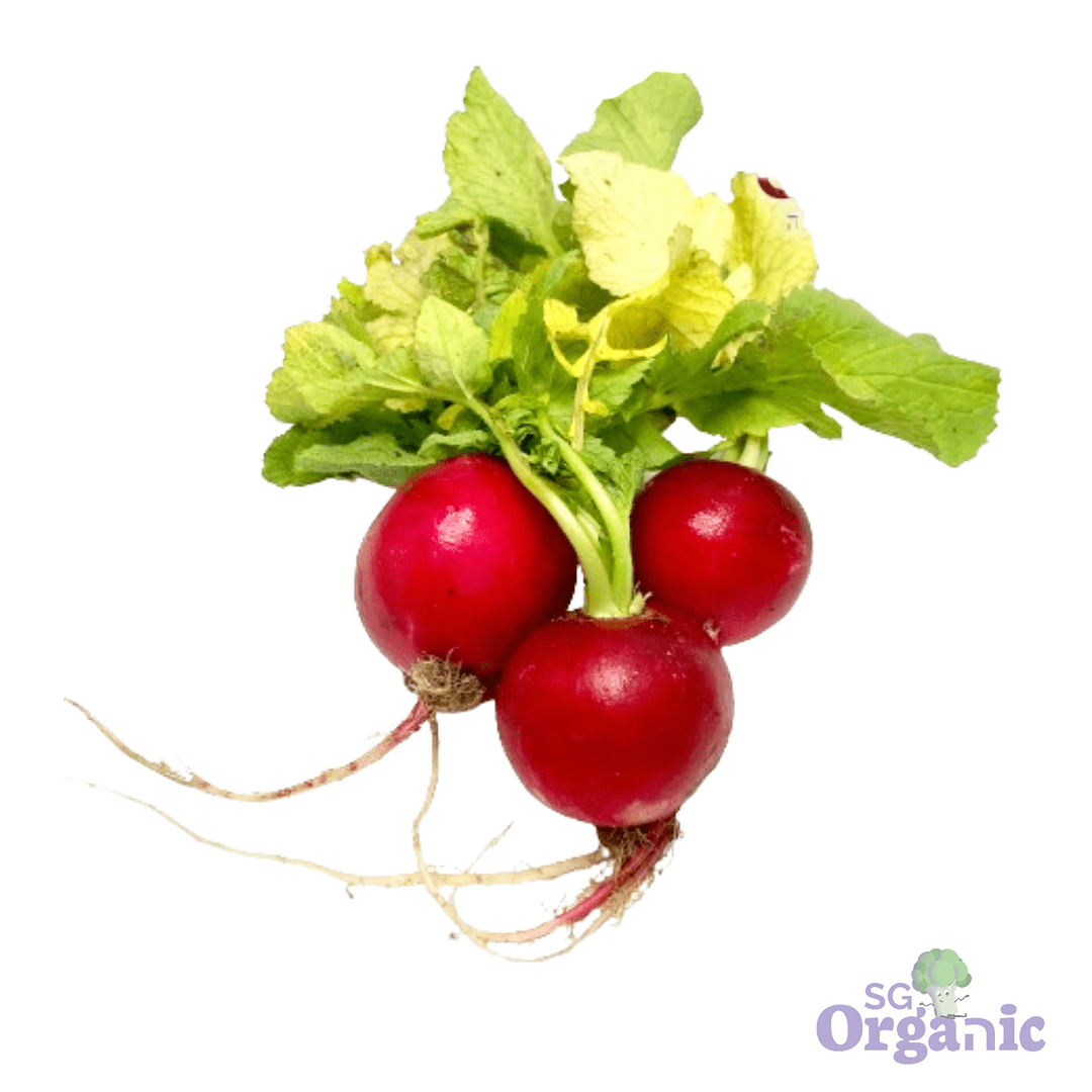 Organic Radish (150g) Australia