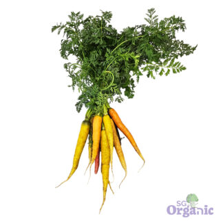 Organic Carrots - Dutch (250g) Australia