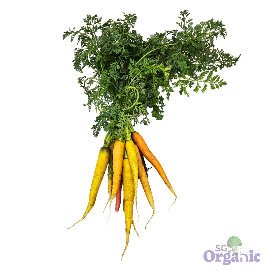Organic Carrots - Dutch (250g) Australia