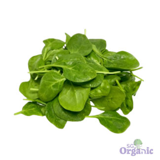 Organic Salad - Baby Spinach (100g) Australia