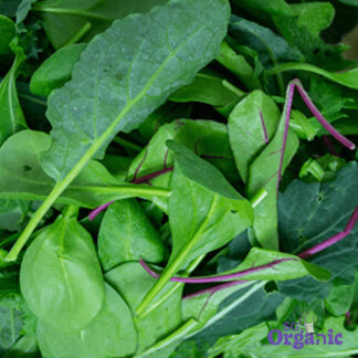 Organic Salad - Superfood Mix (100g) Australia