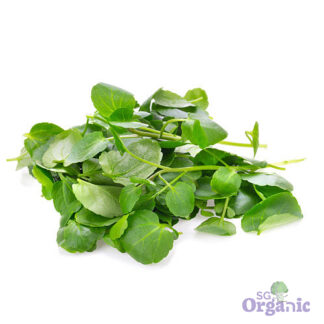 Organic Salad - Watercress (100g) Australia