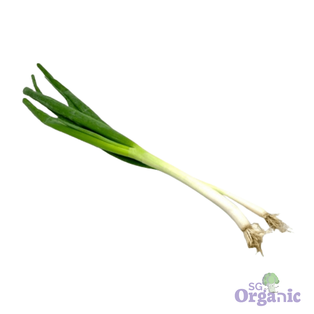 Organic Spring Onions (100g) Australia