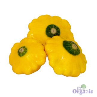 Organic Squash - Summer (100g) Australia