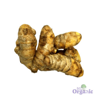 Organic Turmeric Root (100g) Australia
