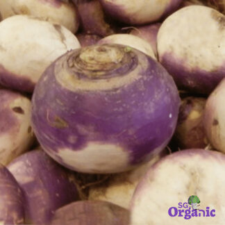 Organic Turnip (500g) Australia