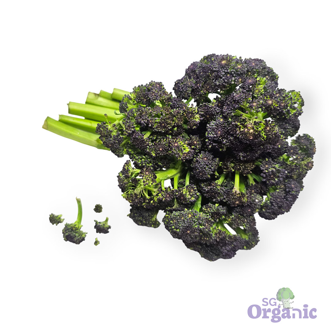 Organic Broccoli - Baby (bunch) Australia