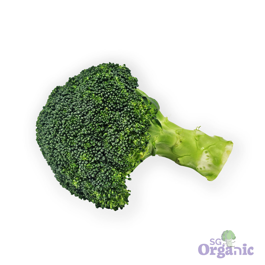 Organic Broccoli (each) Australia