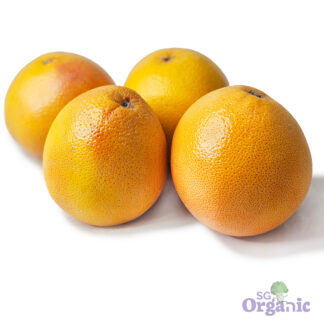 Organic Grapefruit - Ruby (each) Australia