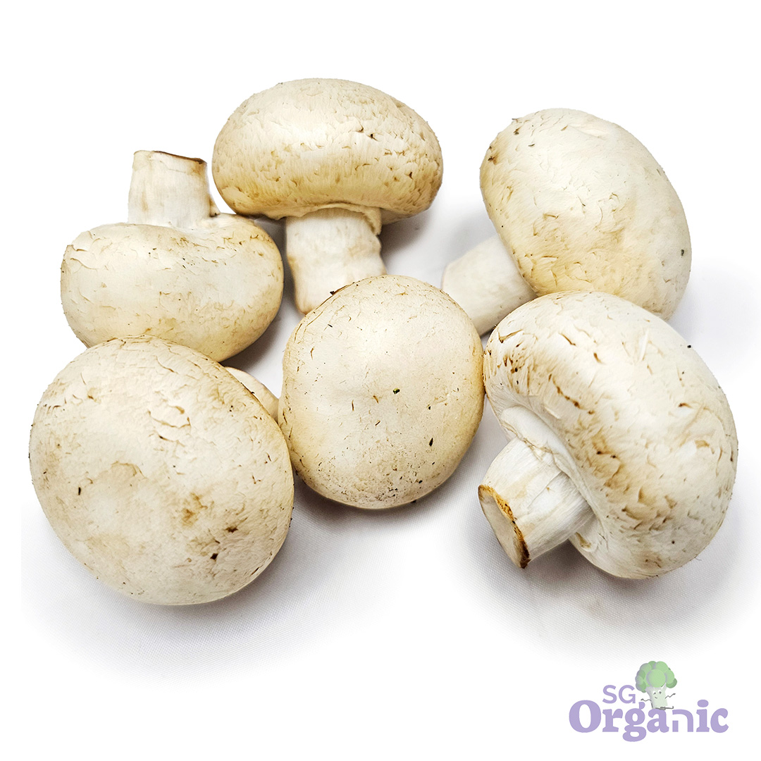 Organic Mushroom - White Button (100g) Australia